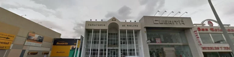 Floristería para Tanatorio De Molina