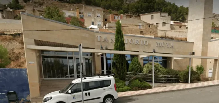 Floristería para Tanatorio Moya Castalla