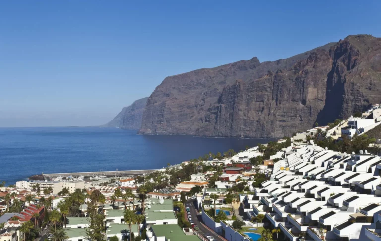 Floristería para Tanatorio Tenerife Servisa